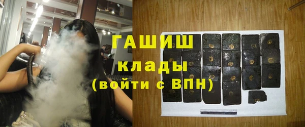 прущие грибы Алзамай