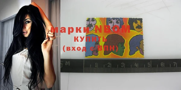 прущие грибы Алзамай