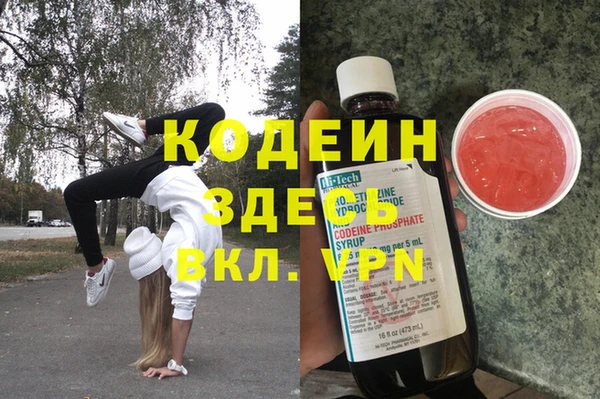 прущие грибы Алзамай
